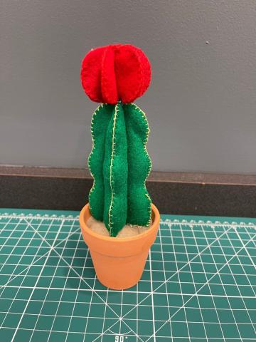 felt cactus 