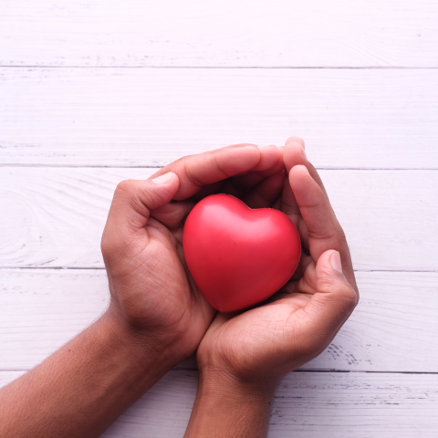 Two hands holding a red heart-shaped object against white wood background