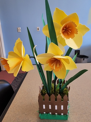 daffodils