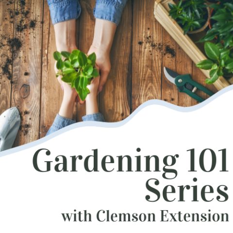 Gardening 101 Series logo