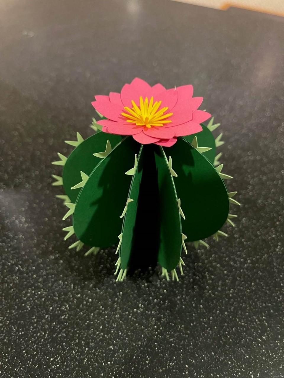 paper cactus 