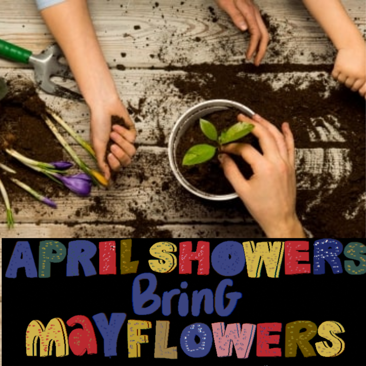 April Showers bring May Flowers image with hands in dirt and planting flowers