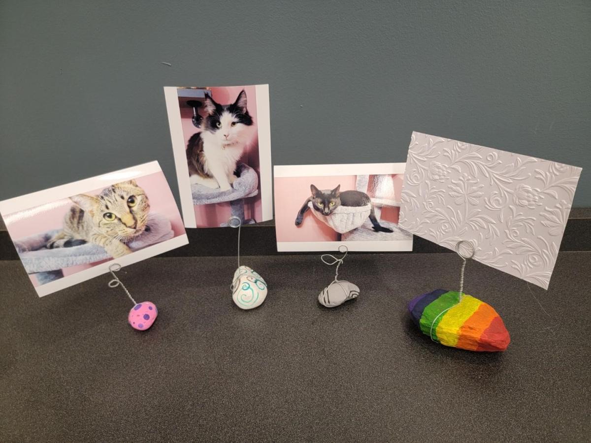 painted rocks with wire sculptures holding pictures