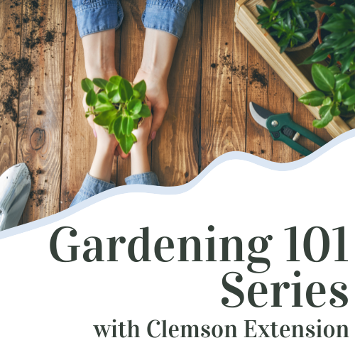 Gardening 101 series logo