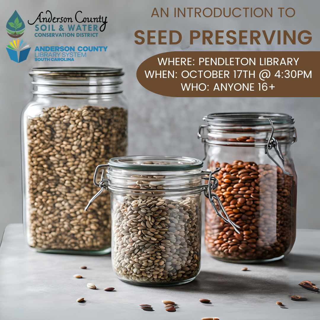 An Introduction to Seed Preserving, image of seeds in glass jars with informational text about the program.